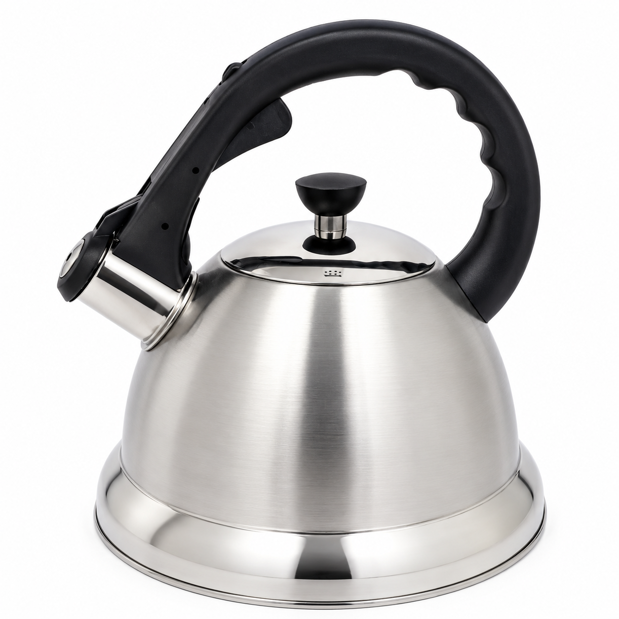 Stainless Steel Whistling Kettle